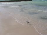 28_3 Playa del Camen  204.JPG