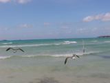 28_3 Playa del Camen  207.JPG