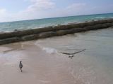28_3 Playa del Camen  208.JPG