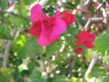 28_3 Playa del Camen  217.JPG