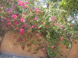 28_3 Playa del Camen  219.JPG