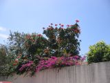 28_3 Playa del Camen  221.JPG