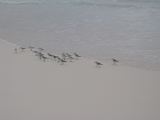 28_3 Playa del Camen  002.jpg