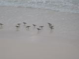 28_3 Playa del Camen  003.jpg