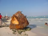 28_3 Playa del Camen  038.jpg