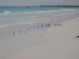 28_3 Playa del Camen  004.jpg