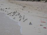 28_3 Playa del Camen  005.jpg