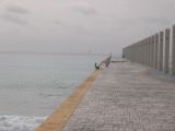28_3 Playa del Camen  082.JPG