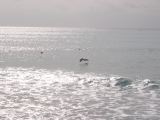 28_3 Playa del Camen  083.JPG