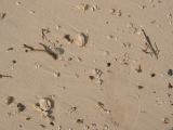 28_3 Playa del Camen  099.JPG