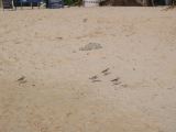 28_3 Playa del Camen  101.JPG