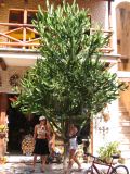 28_3 Playa del Camen  121.JPG