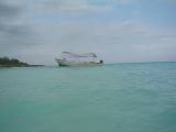 Tortues 04-05-012