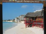 Tortues 04-05-004