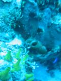 Tortues 04-05-058