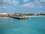 Tortues 04-05-009