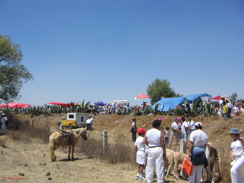 21_3  Teotihuacan  009.jpg