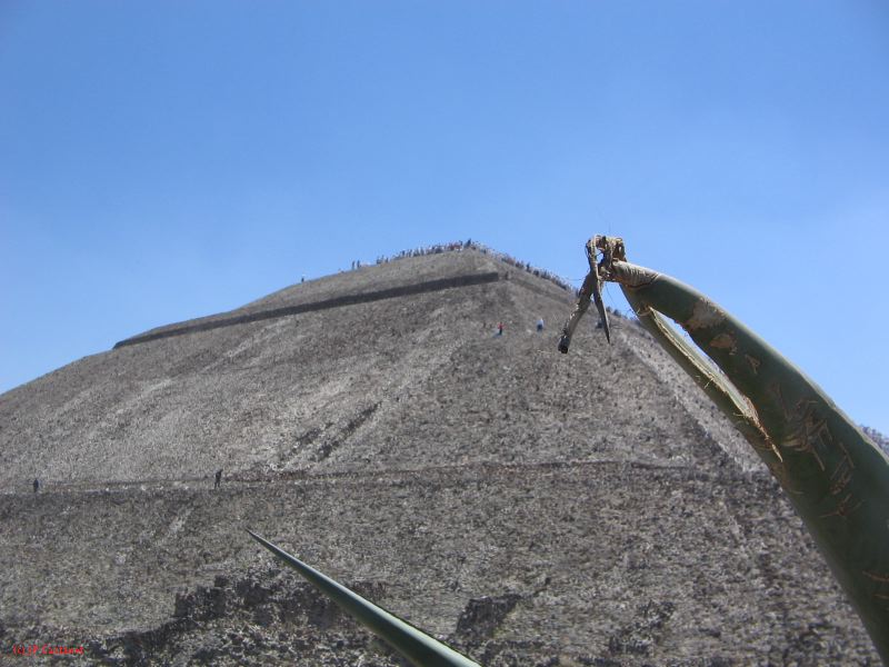 21_3  Teotihuacan  064.jpg
