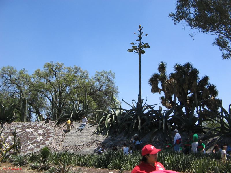 21_3  Teotihuacan  015.jpg