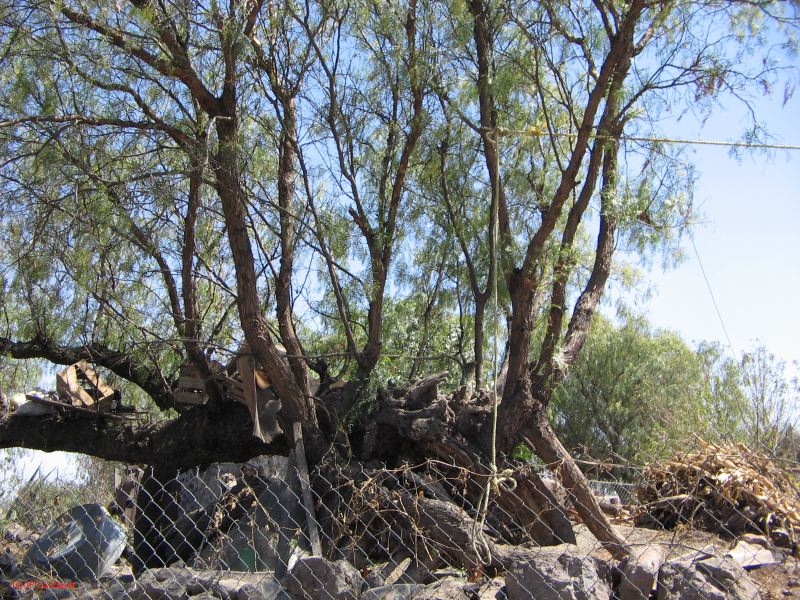 21_3  Teotihuacan  089.jpg