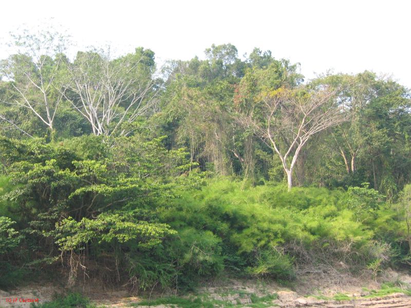 24_3 Yaxchilan  147.jpg