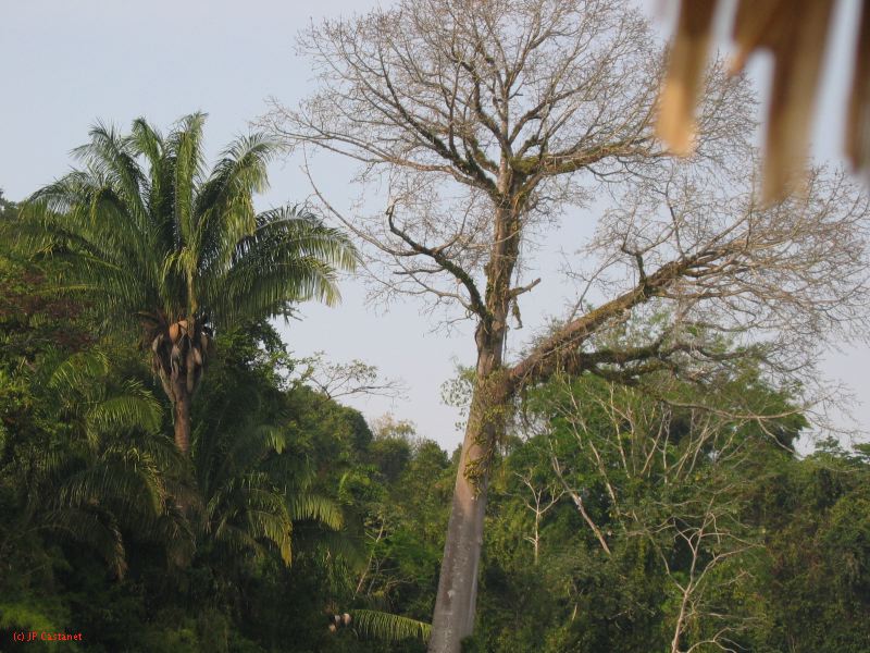24_3 Yaxchilan  148.jpg