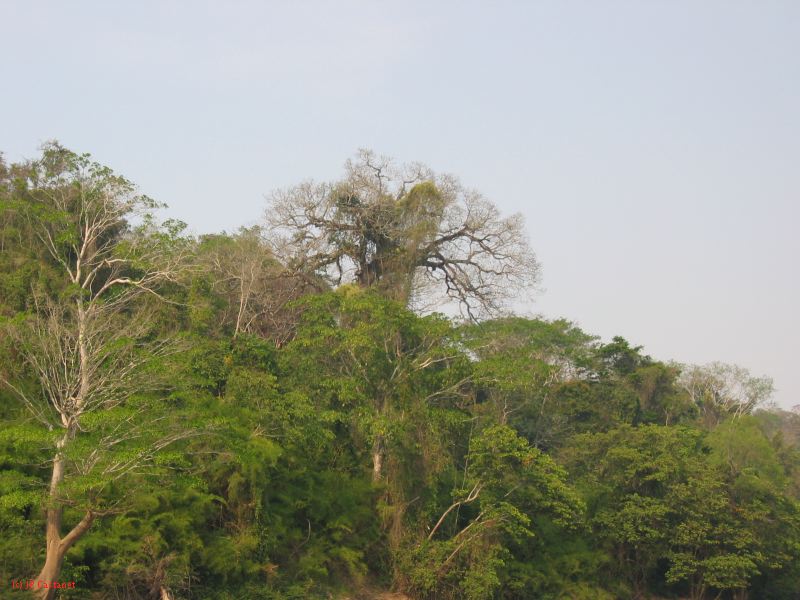 24_3 Yaxchilan  150.jpg