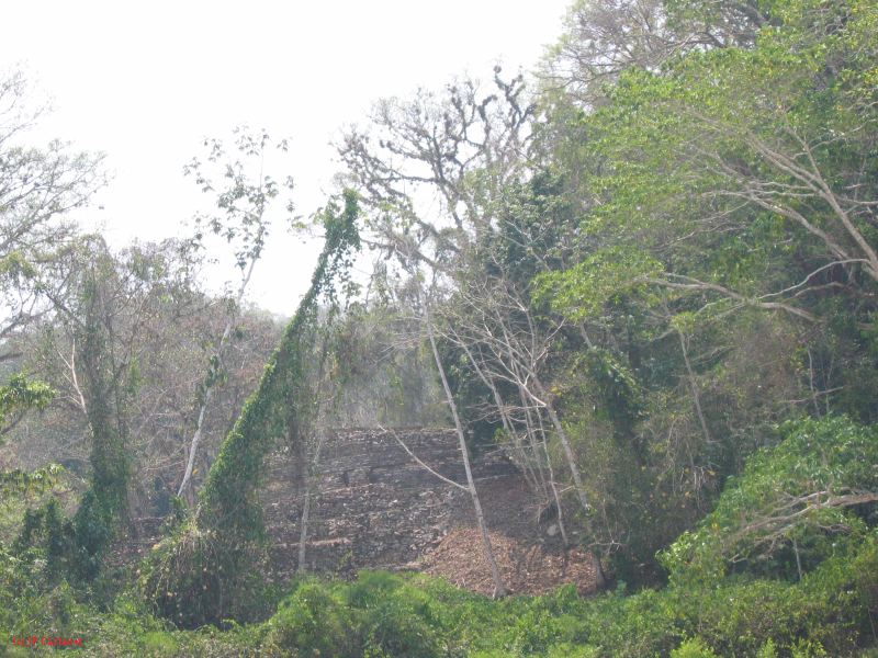 24_3 Yaxchilan  038.jpg