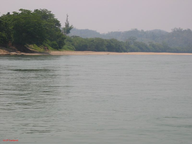 24_3 Yaxchilan  018.jpg