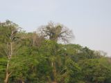 24_3 Yaxchilan  150.jpg