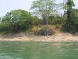 24_3 Yaxchilan  032.jpg