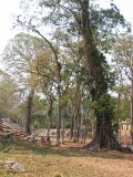 24_3 Yaxchilan  081.jpg