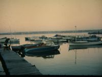 DSCF7319