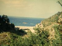DSCF7601