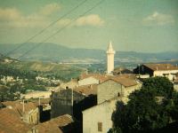 DSCF7613