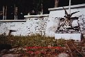 IMG11