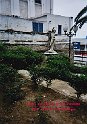 IMG4