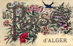 Alger_02.JPG
