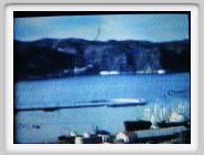 IMG_0930.JPG