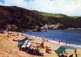 img320.jpg
