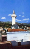 img310.jpg