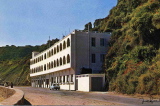 img315.jpg