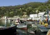 port de peche 3.jpg