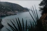 Plage Coipeuse 2.jpg