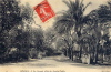 Algérie_019.JPG