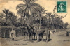 Algérie_023.JPG