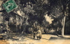 Algérie_073.JPG