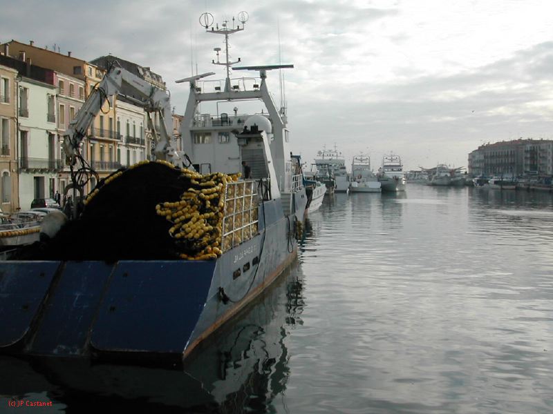 DSCN0146.JPG
