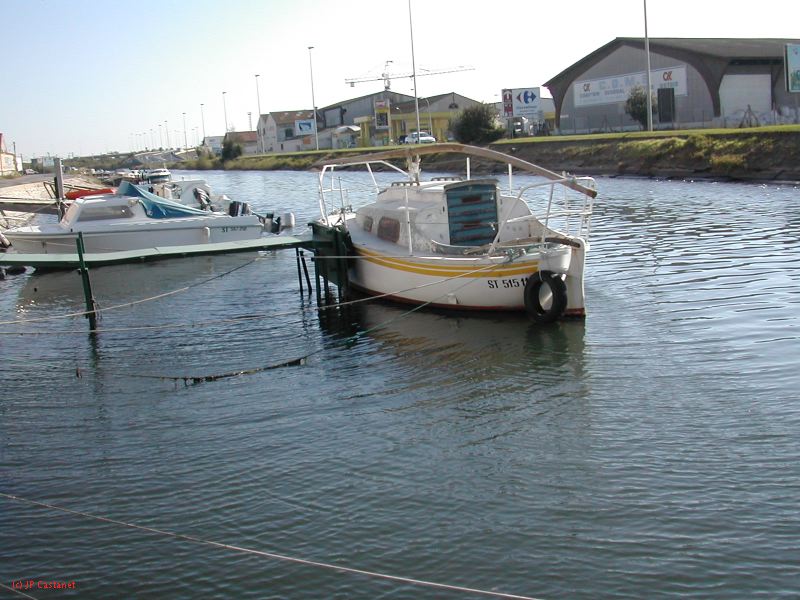 DSCN2187.JPG