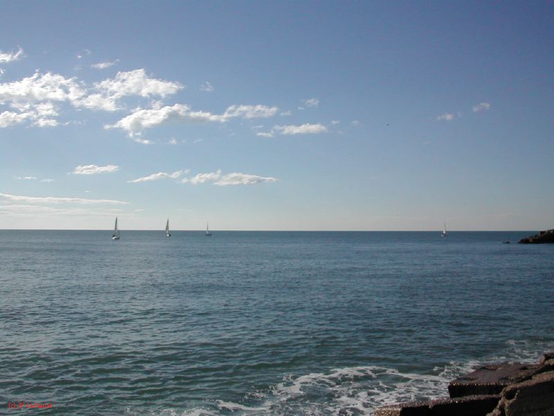 DSCN0344.JPG